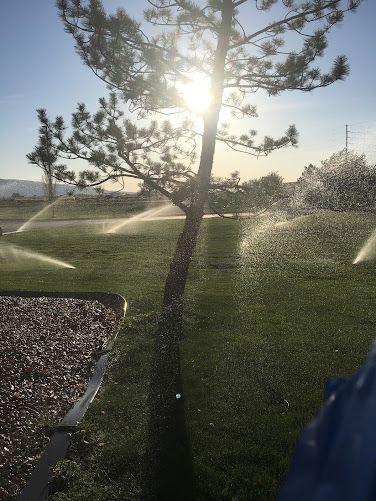 Sprinklers running at sunset